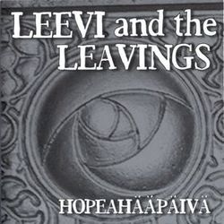 Liikaa Sanoja Chords by Leevi And The Leavings