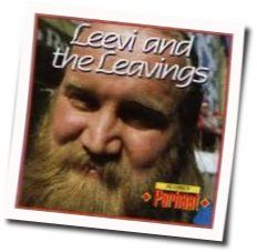 Unelmia Ja Toimistohommia Tab by Leevi And The Leavings