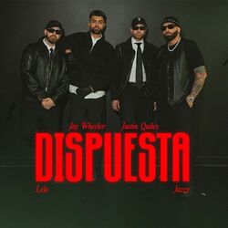 Dispuesta by Lelo