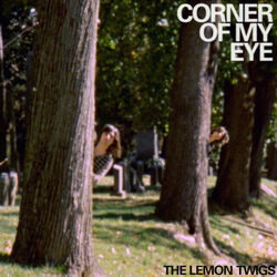 Corner Of My Eye Chords by The Lemon Twigs