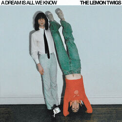 I Should've Known Right From The Start Chords by The Lemon Twigs