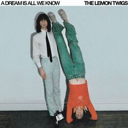 In The Eyes Of The Girl Chords by The Lemon Twigs