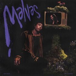 Malvas Chords by Leo Rizzi