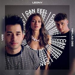 I Can Feel Chords by Leony