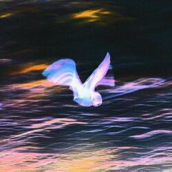 Pigeons Ukulele Chords by Les Louanges