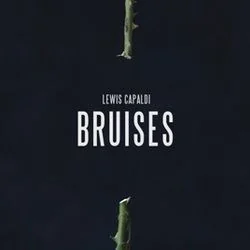 Bruises (Ver2) Chords by Lewis Capaldi