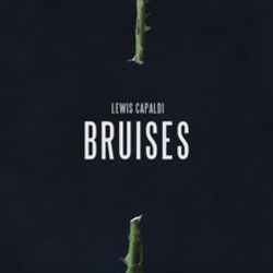 Bruises Ukulele by Lewis Capaldi
