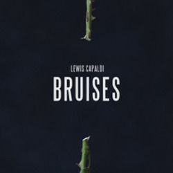 Bruises Ukulele Chords by Lewis Capaldi