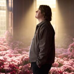 Survive Chords by Lewis Capaldi