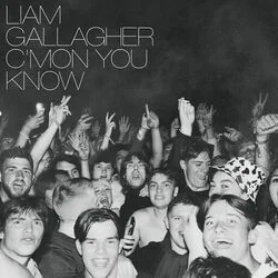Too Good For Giving Up Chords by Liam Gallagher