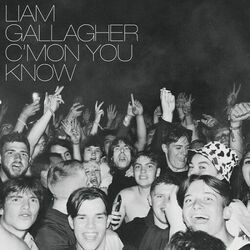It Was Not Meant To Be Chords by Liam Gallagher