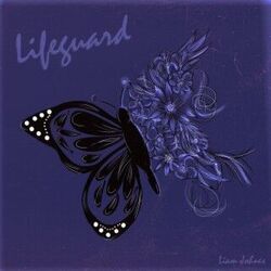Lifeguard Chords by Liam Johnes