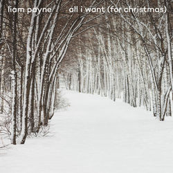 All I Want (for Christmas) by Liam Payne
