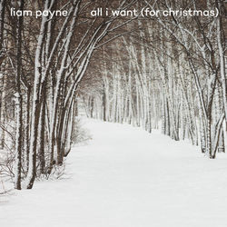 All I Want (for Christmas) Chords by Liam Payne