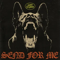 Send For Me Chords by Liam St. John