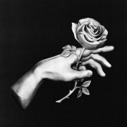 Anna Chords by Liberato