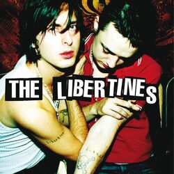 Can't Stand Me Now Tabs by The Libertines