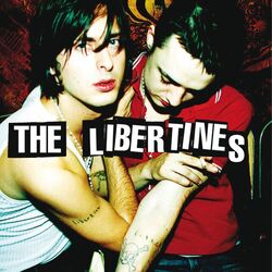 Can't Stand Me Now by The Libertines