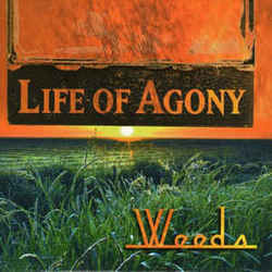 Weeds Chords by Life Of Agony