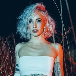 Alive Again Chords by Lights