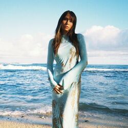 Bolo Blues Chords by Lily Meola