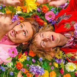 Facts Of Life Chords by Lime Cordiale