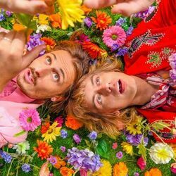 Facts Of Life Chords by Lime Cordiale