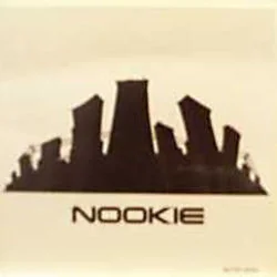 Nookie Bass Tab by Limp Bizkit