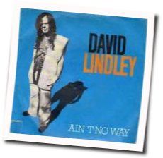 Ain't No Way by David Lindley