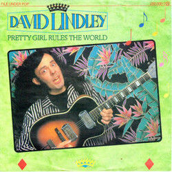 Never Knew Her Chords by David Lindley