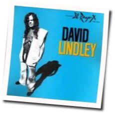 Pay The Man by David Lindley