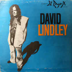 She Took Off My Romeos by David Lindley