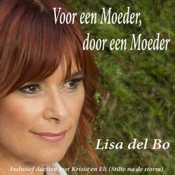 Stilte Na De Storm by Lisa Del Bo