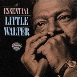 Just Your Fool Chords by Little Walter