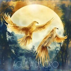 águila De Oro Chords by Little Whale