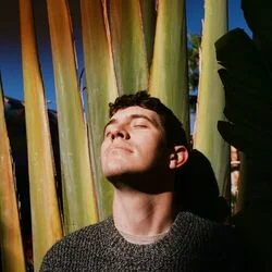 Look At What The Light Did Now Tab by Little Wings