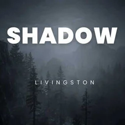 Shadow Chords by Livingston