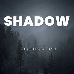 Shadow Chords by Livingston
