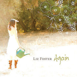 Catch My Fall Chords by Liz Foster
