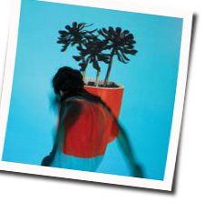 Coins Chords by Local Natives