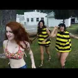 Bee Song Ukulele Chords by Local News Legend