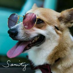 Sanity Bass Tab by Lola Amour