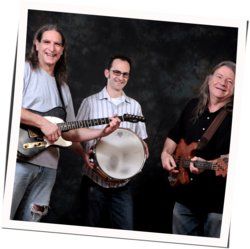 Lonesome Brothers chords for Sure looks pretty