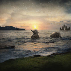 Son Of A Gun Chords by Lord Huron