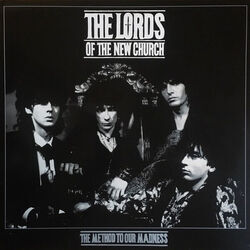 Method To Our Madness Chords by The Lords Of The New Church