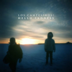 Every Defeat A Divorce Three Lions by Los Campesinos!