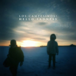 Every Defeat A Divorce Three Lions Chords by Los Campesinos!