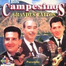 Pucuisito Chords by Los Campesinos!