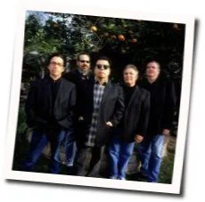 Beautiful Maria Of My Soul Tab by Los Lobos