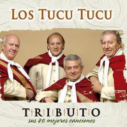 Luna Festivalera Chords by Los Tucu Tucu